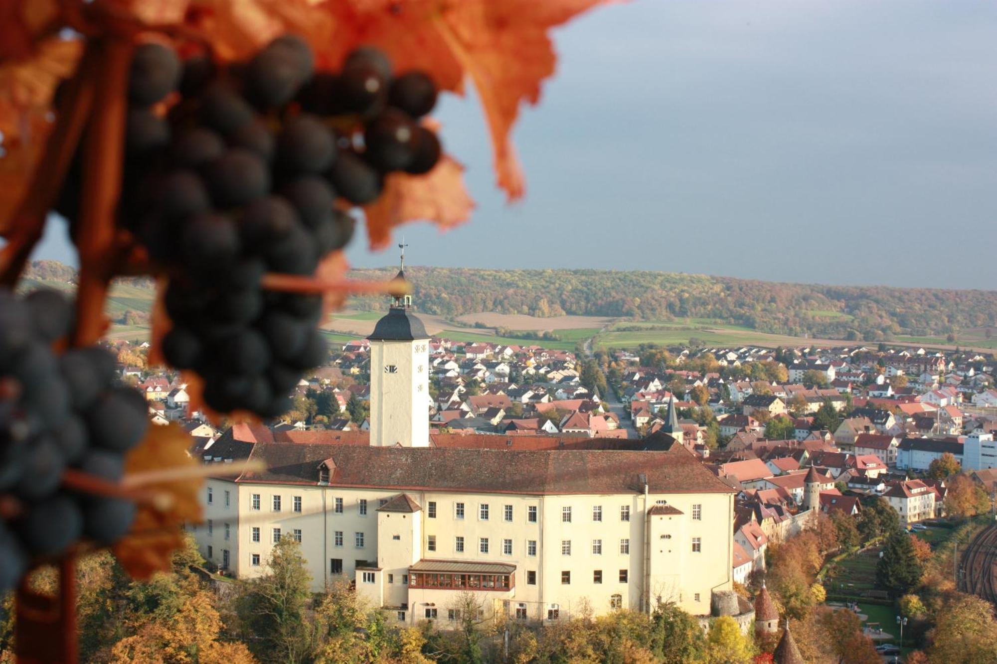 Готель Schell Schokoladen Gundelsheim  Екстер'єр фото